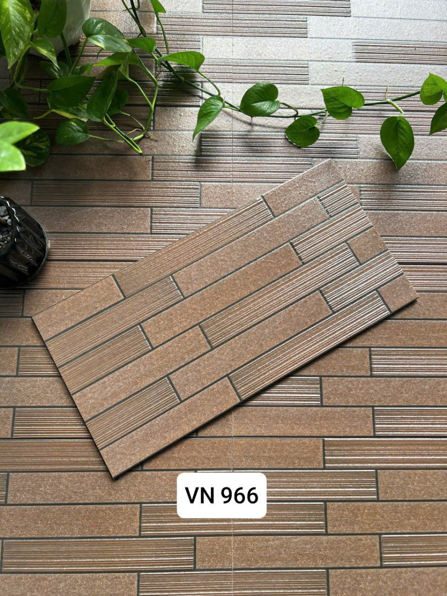 Việt Nhật VN 996